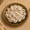 Kaudi Shells